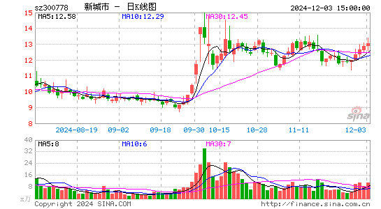 新城市