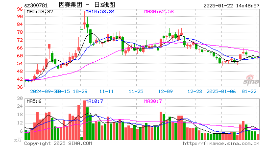 因赛集团