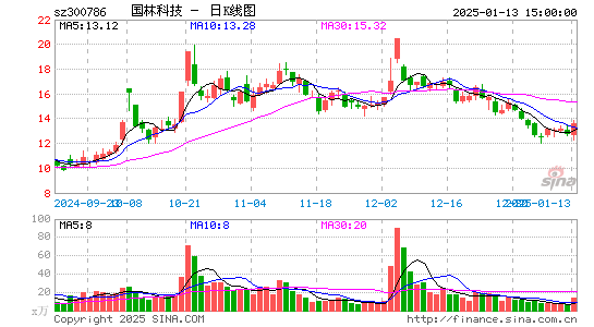 国林科技