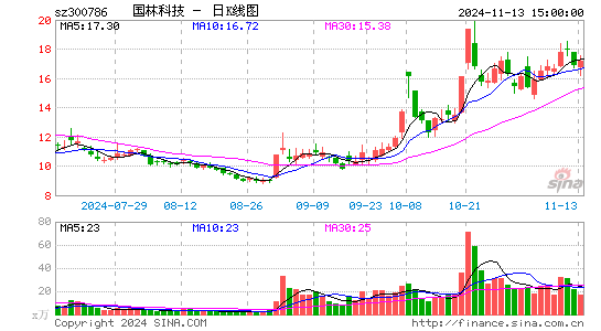 国林科技