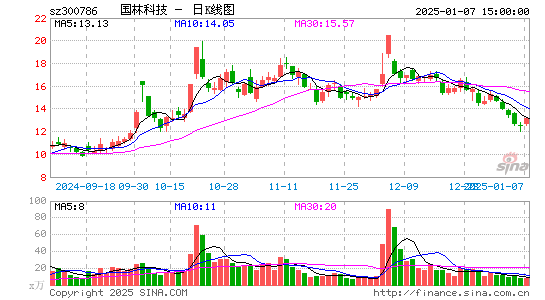 国林科技