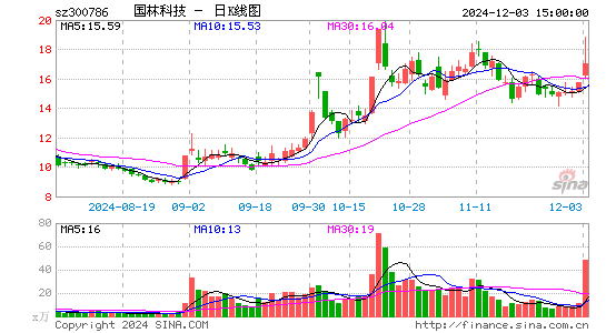 国林科技