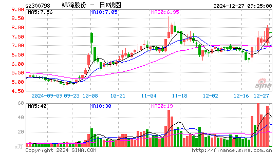 锦鸡股份