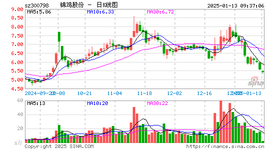 锦鸡股份