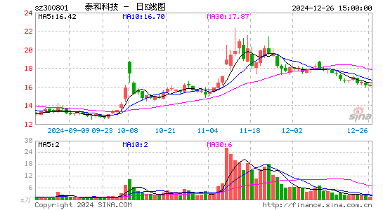 泰和科技