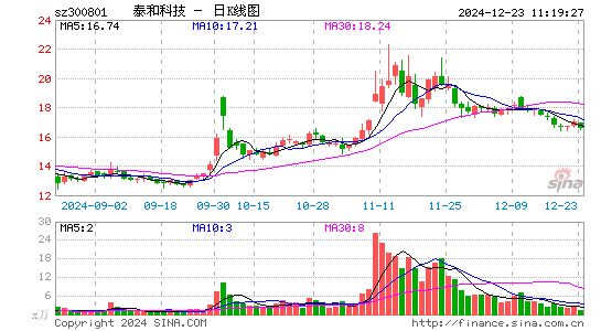 泰和科技