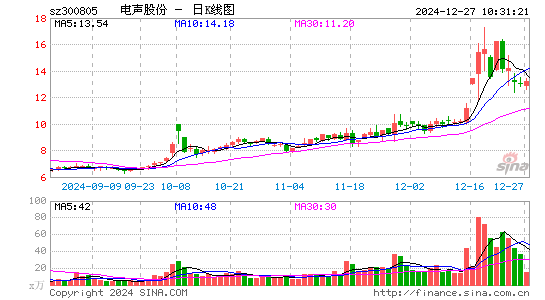 电声股份