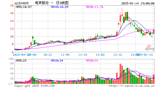 电声股份