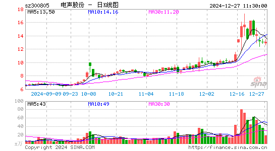 电声股份