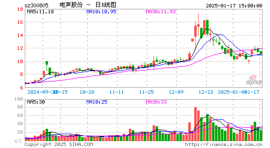 电声股份