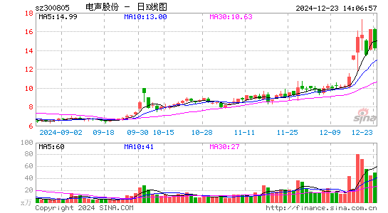 电声股份