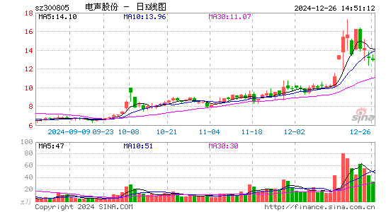 电声股份