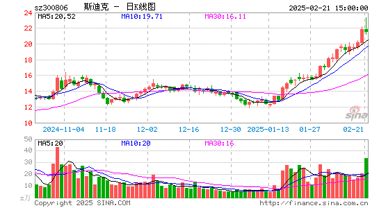 斯迪克