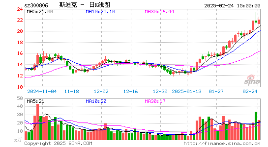 斯迪克