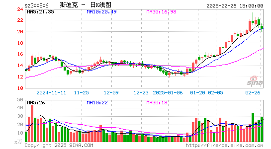 斯迪克