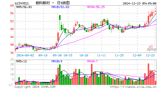 铂科新材