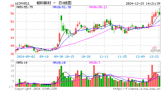 铂科新材