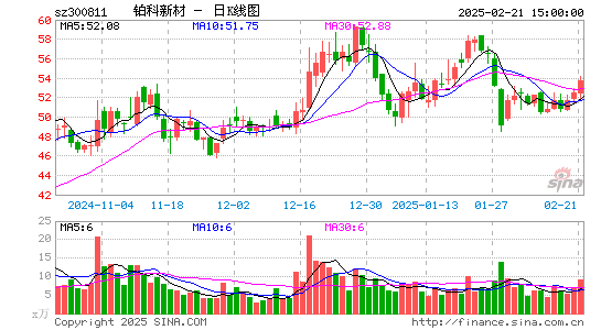 铂科新材