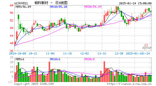 铂科新材