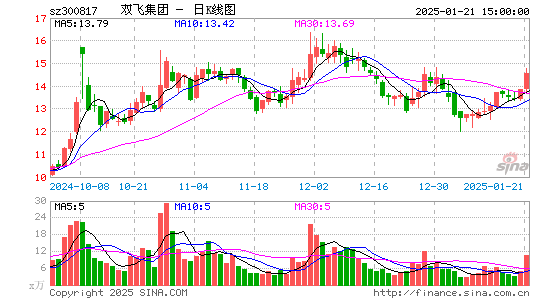 双飞股份