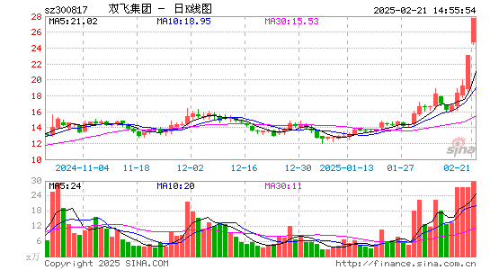 双飞股份