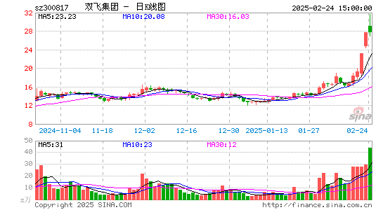 双飞股份