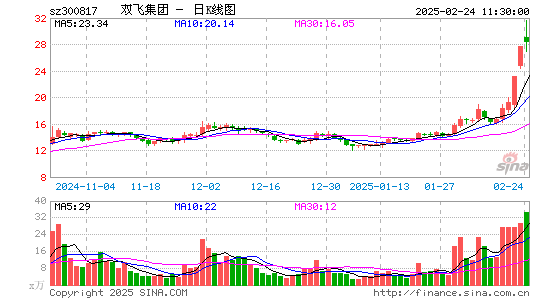 双飞股份