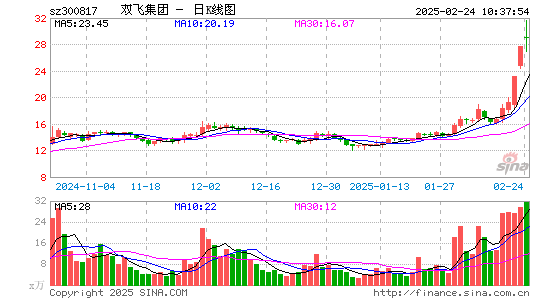 双飞股份