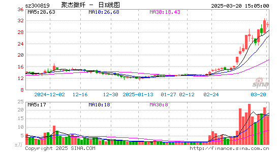 聚杰微纤