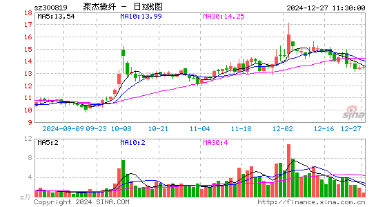 聚杰微纤