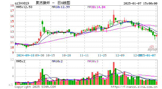 聚杰微纤