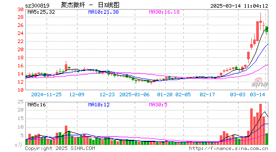 聚杰微纤