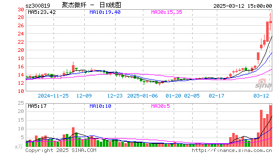 聚杰微纤