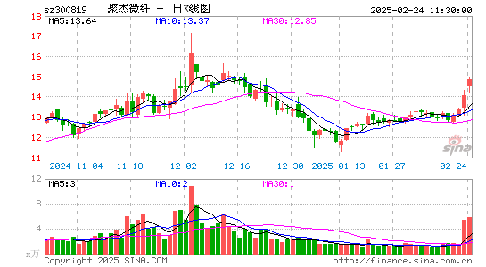 聚杰微纤