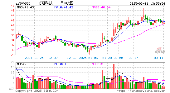 龙磁科技