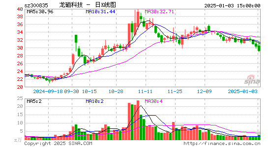 龙磁科技