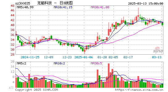 龙磁科技