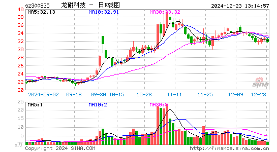 龙磁科技