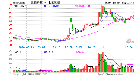 龙磁科技