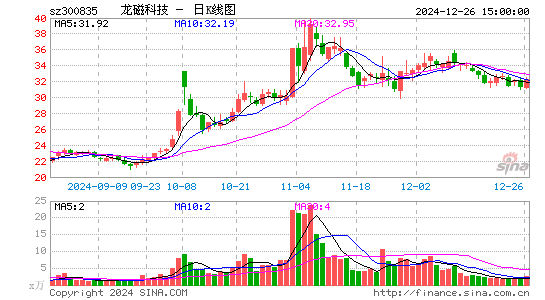 龙磁科技