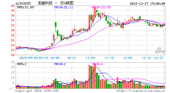 龙磁科技