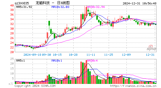 龙磁科技