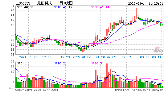 龙磁科技