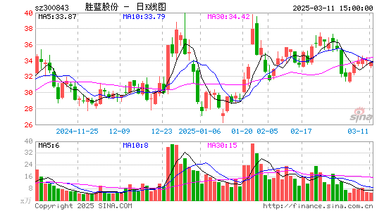 胜蓝股份