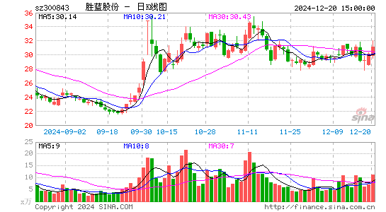 胜蓝股份