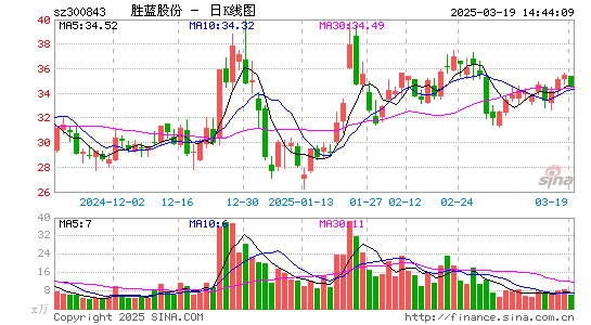 胜蓝股份