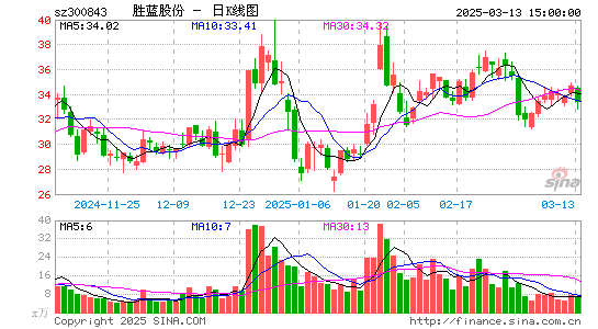 胜蓝股份