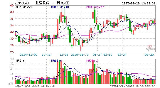 胜蓝股份