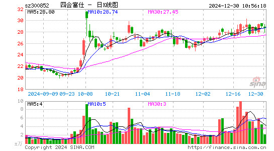 四会富仕