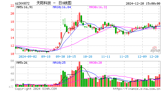 天阳科技